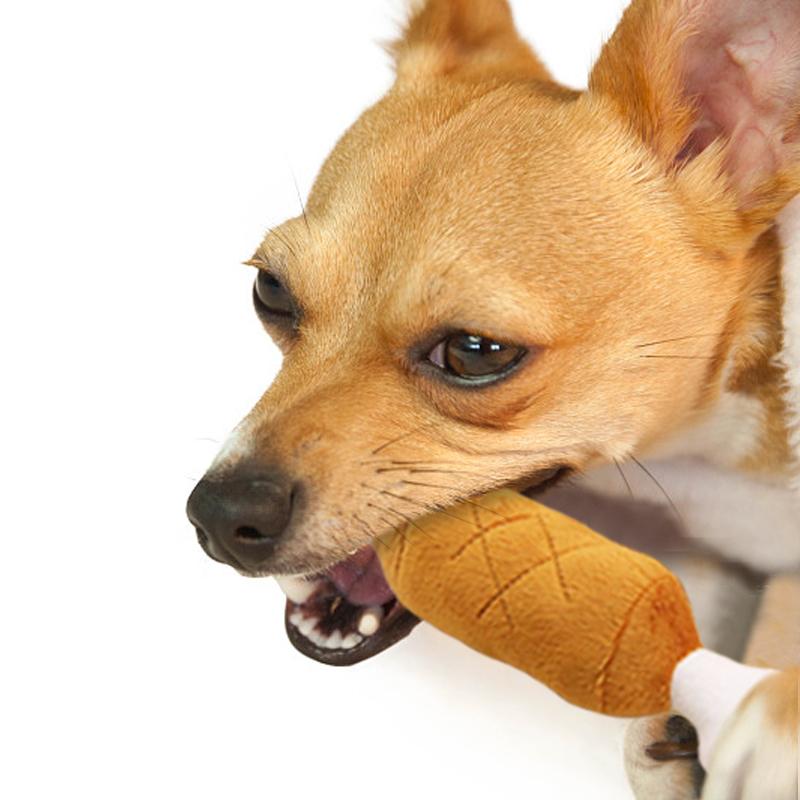 Pet-Dog-Supply-Toys-Soft-Fleece-Chicken-Leg-Cat-toy-Interective-Squeak-Sound-Dog-Toys-For_a140138c-3929-45a8-b8d6-8c9f6602d94f_2048x