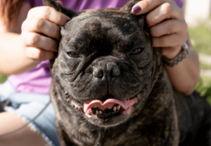 戶外出行的貼心小助手