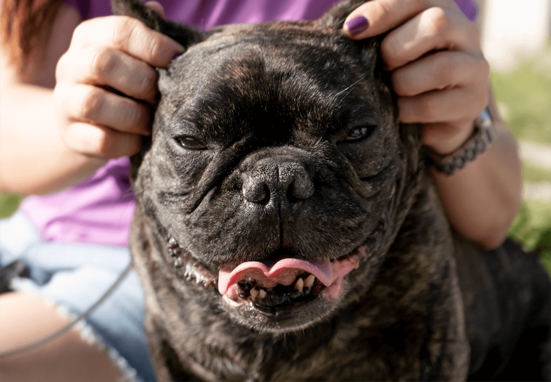 You are currently viewing 戶外出行的貼心小助手